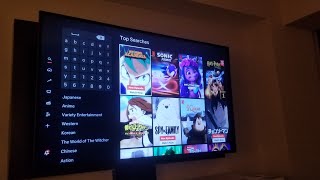 How to change your input (source) on a Hyatt Regency hotel tv (and why you might want to)