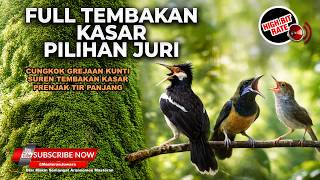 Download lagu 🔴 Live Full Tembakan Kasar Greja Tarung Cucak Cungkok Gacor vs Jalak Suren Gacor vs Prenjak Tir mp3