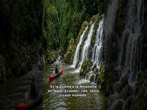 Tena NO es brasileña 🇪🇨