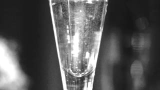 Experiments in Haste 1