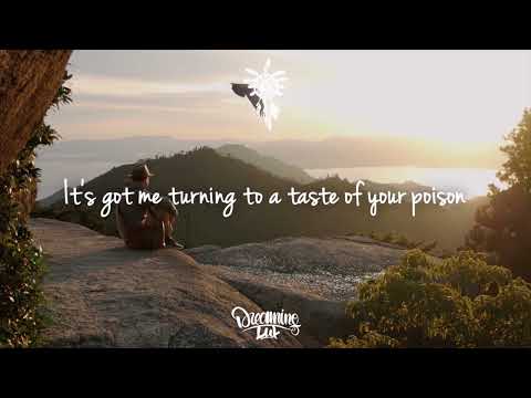 Lucas Estrada & PLANT - Medicine (Lyrics)