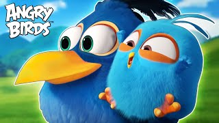 Happy Father's Day from Bird Island! 💙🐣