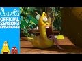 Official Yellow S Secret Larva Season 3 Episode 48