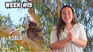 Exploring Echuca Moama & Murray River Valley in Australia (World Trip Week 15)