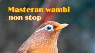 Download lagu Masteran Whambie nonstop 1 jam mp3