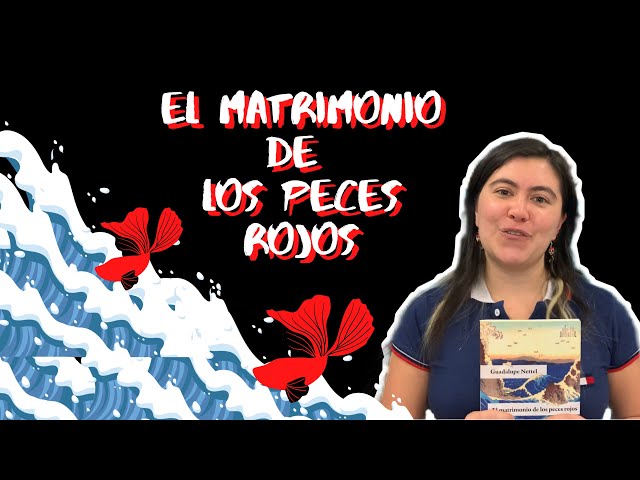 Vídeo relacionado con El matrimonio de los peces rojos