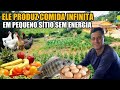 SÍTIO DE 1 HECTARE AUTOSSUSTENTÁVEL Lucaspereiralima
