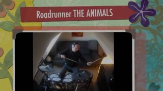 Roadrunner THE ANIMALS DRUM COVER