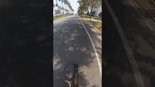 Sunday bicycle ride in the sun #ilovevietnam #bikeriding