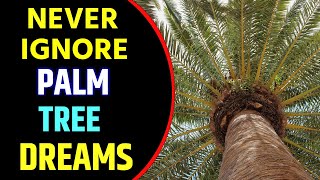 What Does Palm Tree Dream Meaning | Dreaming of Palm Trees | Palm Tree Dream Interpretation
