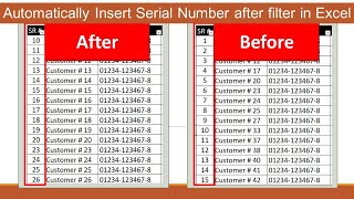 Automatically Insert Serial Number after filter in excel