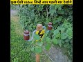 कुछ ऐसी Video जिन्हें आप पहली बार देखोगे By 