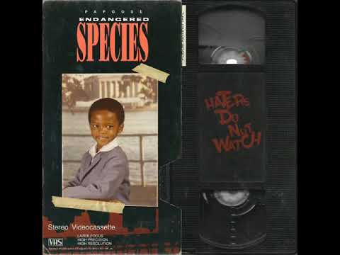 Click to play YouTube video