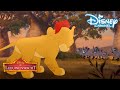 De Leeuwenwacht | Het leger van Scar! | Disney Channel NL