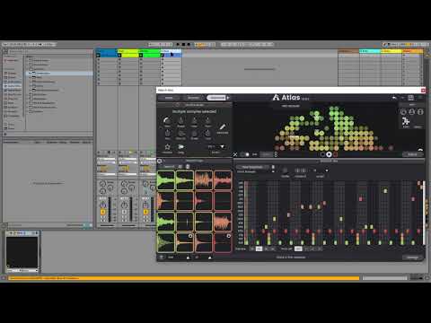 Daily Decibel #4 - Wubby Sub