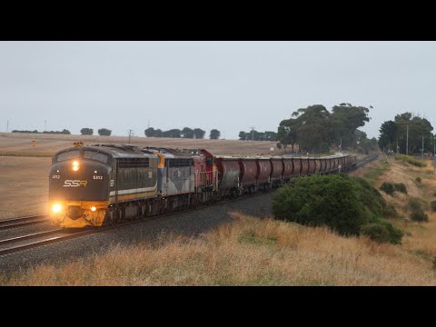 Chasing SSR’s Antique Roadshow grain train around Geelong