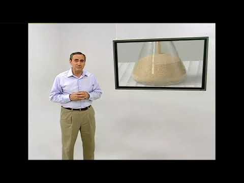 Watts OneFlow Sistema Anti-Sarro