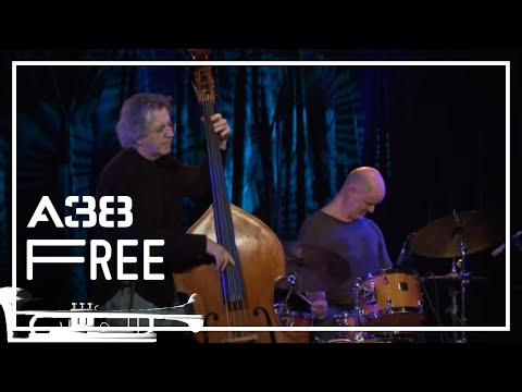 Matthew Shipp Trio - Psychic counterpart // Live 2012 // A38 Free
