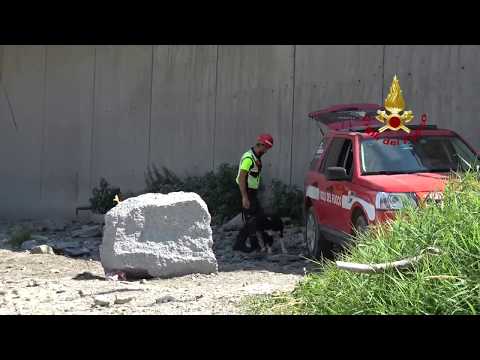 I Nuclei Cinofili VVF delle Marche a Genova