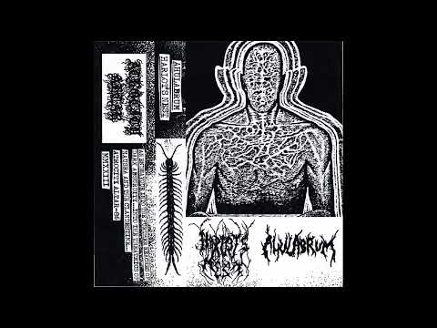 Harlot's Nest / Ahulabrum (Australia/US) - S/T (Split 2023)