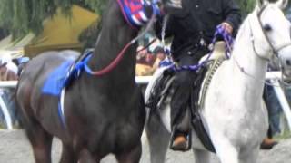 EL ROYAL PROCLAMACION - OSCAR SOLIS Y SU BANDA MAGISTRAL