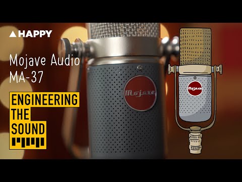 Mojave MA-37 Multipattern Large Diaphragm Tube Condenser Microphone 2021 - Gray image 3