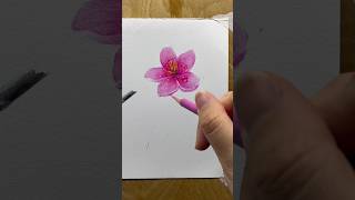 Realistic Flower Drawing with Color Pencil | Step-by-Step Art for Beginners