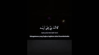 Download lagu SHOLAWAT SAUQBILU YA KHOLIQI | STORY WA 30 DETIK mp3 Download lagu SHOLAWAT SAUQBILU YA KHOLIQI | STORY WA 30 DETIK mp3