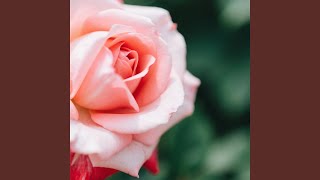 Download lagu Sedih Dunia Lentera mp3