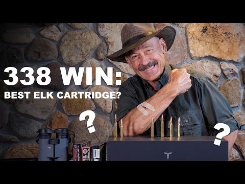 338 Winchester Magnum: Beste Elchpatrone?