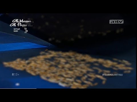Cepat dan lambat daftar karbohidrat produk untuk grafik penurunan berat badan Apakah hati ayam dengan berat badan