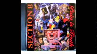 Section 8-Nightfall.wmv