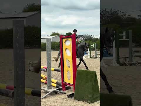 Lot 456 Clifden Sales - Image 2