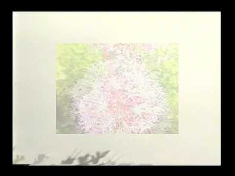 Luca Musto - Call Me on the Regular // Laut & Luise (LUL018)