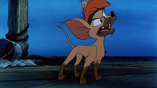 My Universal Studios Home Entertainment VHS Collection With FBI Anti-Piracy Warning Screen