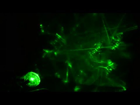 Brinstaar + Kira Weinstein + Kirill Rave — Live at Mars