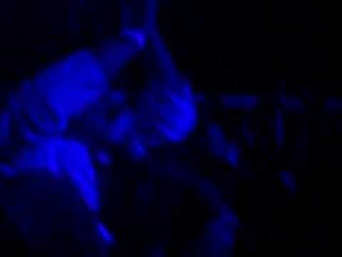 Tokyo Project feat. Mark Doyle & Bonnie Bailey 2