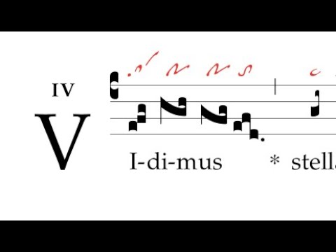 Communio: Vidimus stellam