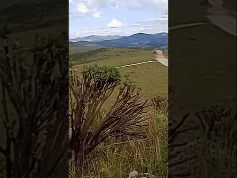 SERRA DO "DEUS TE LIVRE" EM OURO BRANCO MINAS GERAIS #brasil #mountains #serra #shorts #trending #yt