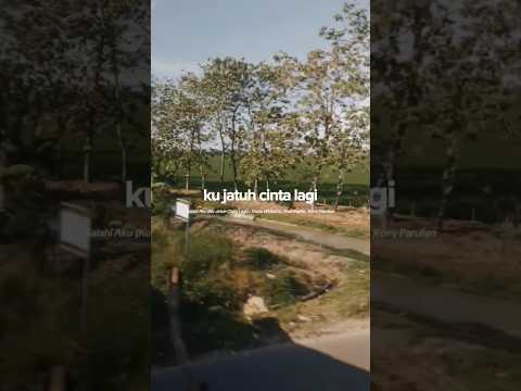 Rony Parulian - Salahi Aku (ku jatuh cinta lagi) #ronyparulian #salahiaku #wer1 #yoviewidianto