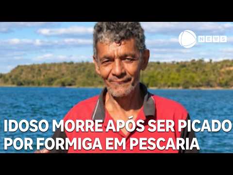 Idoso morre após ser picado por formiga durante pescaria no interior de Goiás