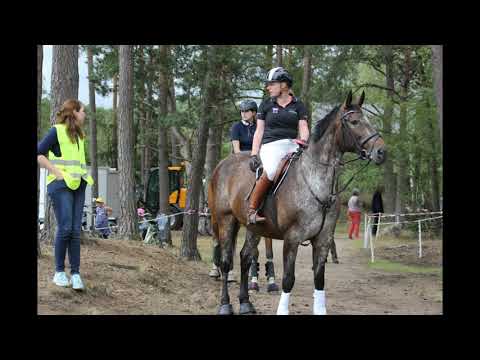 Horseboarding Holland Nationa Championship Rider 2019: 2nd Place: Eva Mulder-Ghijssen