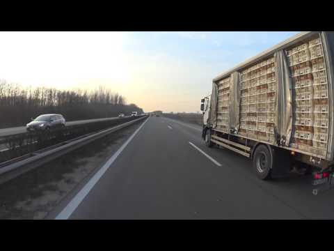 Lajosmizse - M5 - Budapest || Suzuki GSX 650F