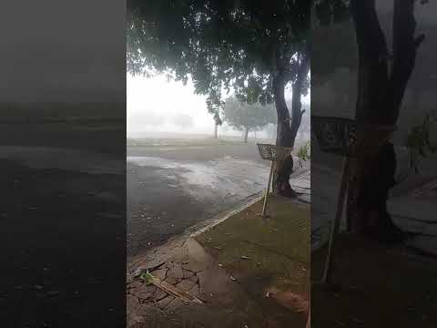 o dia que amanheceu com muita neblina em Bento de Abreu sp.