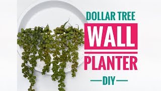 DIY Dollar Tree Wall Planter - Great For Air Plants