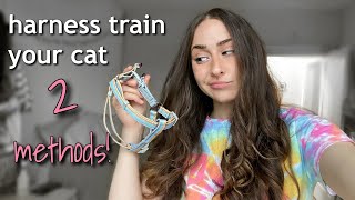 Harness Train Your Cat: 2 methods