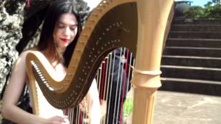 Lough Erin Shore - Celtic Music - Trio Amadeus