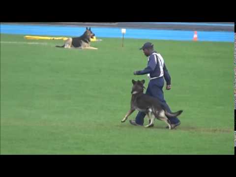 Dwight McKnight 2014 WUSV