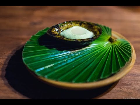 Noma's Jungle Pop-up Restaurant in Tulum, Mexico