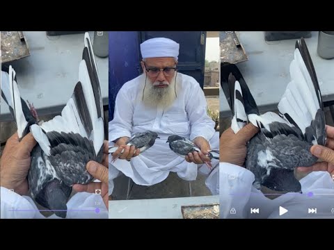 Special Video Respected || Ustad Haji Ahmad Zaman